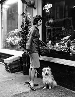Fruiterer: HOUSEWIFE AND POOCH