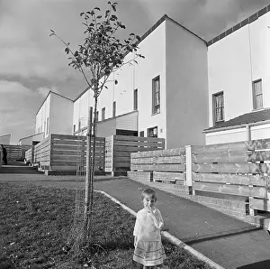 Staggered: Housing Estate, Devon