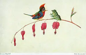 Startled: 'How do yo do?' - a frog greets a rather startled bird