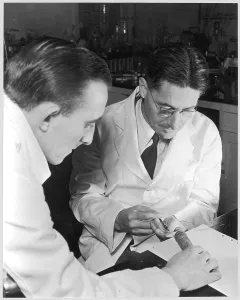 Injects: Howard Florey in Lab