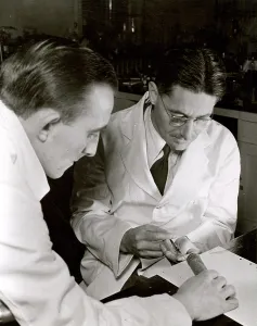 Penicillin: Howard Florey in Lab