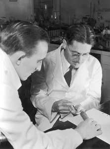 Penicillin: HOWARD FLOREY WORKING