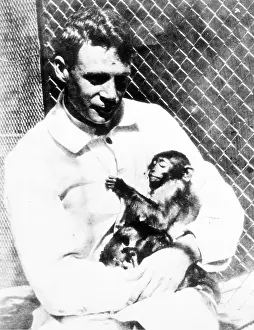 Researched: Howard Taylor Ricketts, American Bacteriologist and Patholog