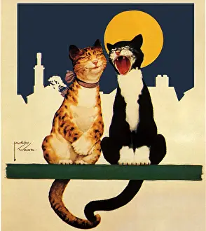 Ledge: Howling at Moon