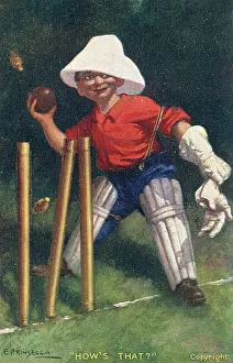 Wicketkeeper: How's That - A young wicketkeeper whips off the bails