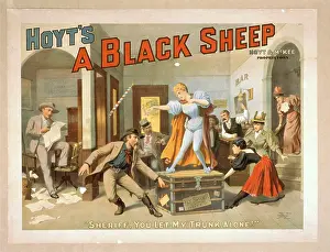 Hoyt: Hoyt's A black sheep