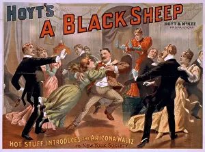 Hoyt: Hoyt's A black sheep