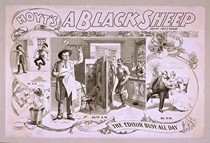 Hoyt: Hoyt's A black sheep