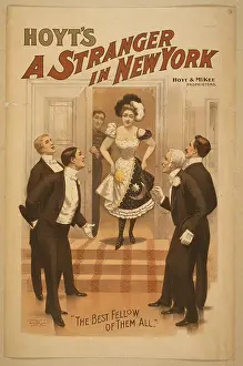 Hoyt: Hoyt's A stranger in New York