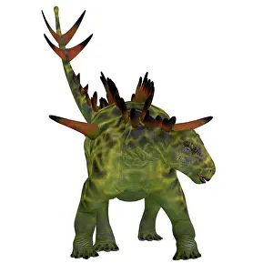 Stegosaur: Huayangosaurus dinosaur, front view