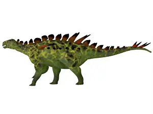 Stegosaur: Huayangosaurus dinosaur, side view