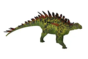 Thyreophora: Huayangosaurus dinosaur walking