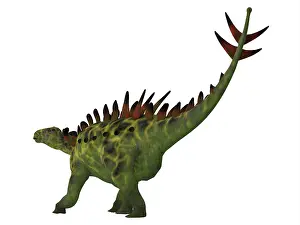 Stegosaur: Huayangosaurus dinosaur on white background