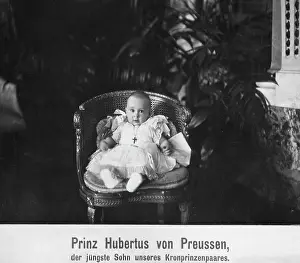 Kronprinzessin: Hubertus