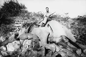 Kronprinzessin: Hubertus