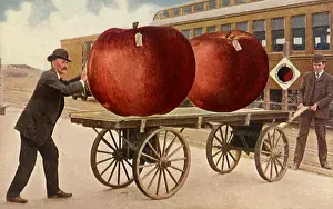 Exaggeratedly: Two Huge Apples