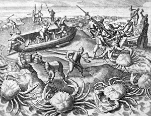 Shipwrecked: HUGE CRABS