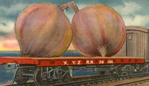 Veggie: Two Huge Onions