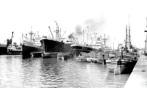 Humberside: Hull, Alexandra Dock c1955