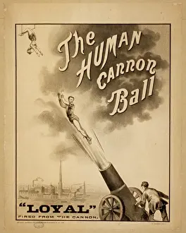 C1879: The human canon ball