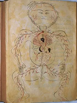 Authored: The human circulation system, from MANSUR'S ?