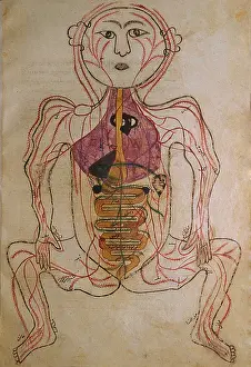 Authored: The human circulation system, from MANSUR'S ?