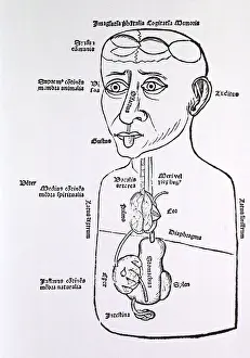 Senses: Human figure, half-length, with some of ?