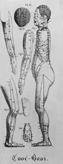 Acupuncture: Human figure shown in left profile with ?