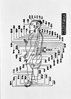 Acupuncture: Human figure shown in left profile with ?