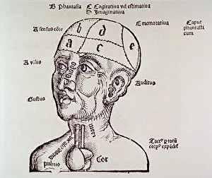 Senses: Human head and shoulders with heart and ?