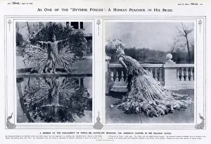 Bronner: A human peacock in his pride
