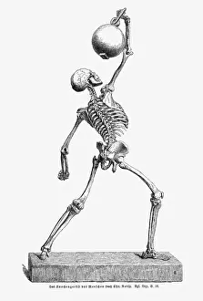 Anatomy: Human skeleton holding a heavy object