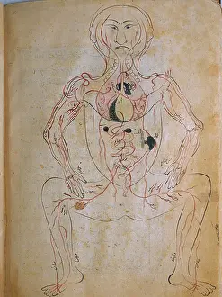Authored: The human venous system, from MANSUR'S ANATOMY, ?