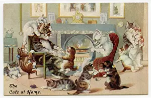 Grate: Humanised cats in a domestic setting