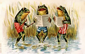 Reptiles: Three humanised frogs singing