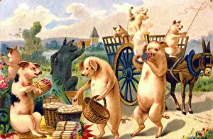 Blinkers: Humanised pigs in the countryside