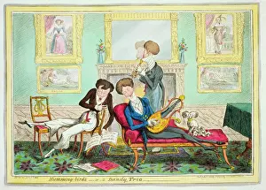 Furnished: Humming-birds--or--a dandy trio