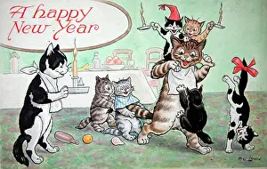 Lewin: Humorous cats