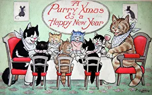 Lewin: Humorous cats