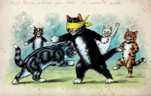 Ellam: Humorous cats