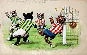 Ellam: Humorous cats