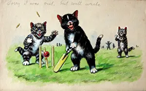 Ellam: Humorous cats
