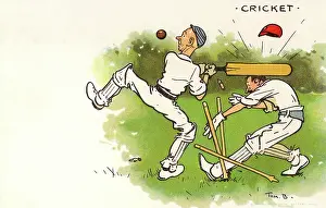 Batsmen: Humorous Cricket Postcard - Wicketkeeper struck