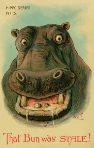Stale: Hippo