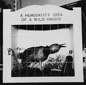 Haggis: HUMOROUS HAGGIS