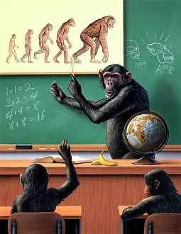 Hominidae: A humorous view of the reverse evolution of man