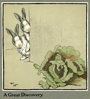 Humpty: Humpty and Dumpty the rabbits find a cabbage
