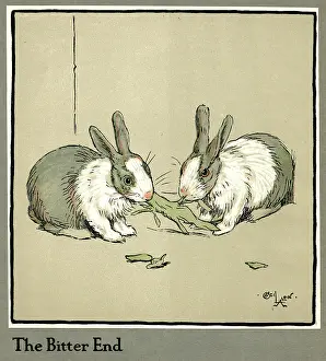 Humpty: Humpty and Dumpty the rabbits eating a cabbage