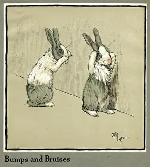Bruised: Humpty and Dumpty the rabbits lose their way