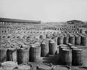 Commodities: Hundreds of barrels on the wharf of Savannah, ?